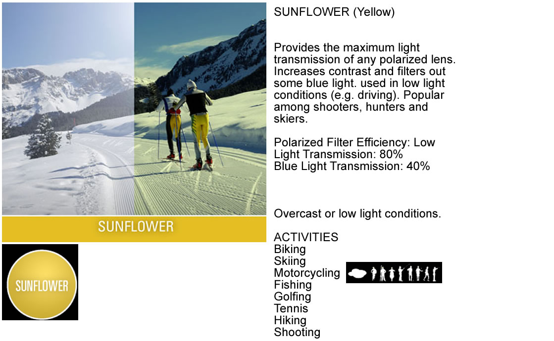 sunflower.jpg
